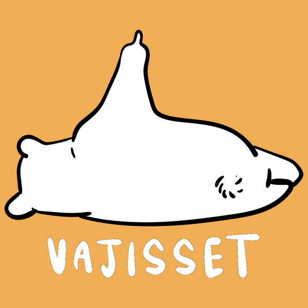 Vajisset Bär