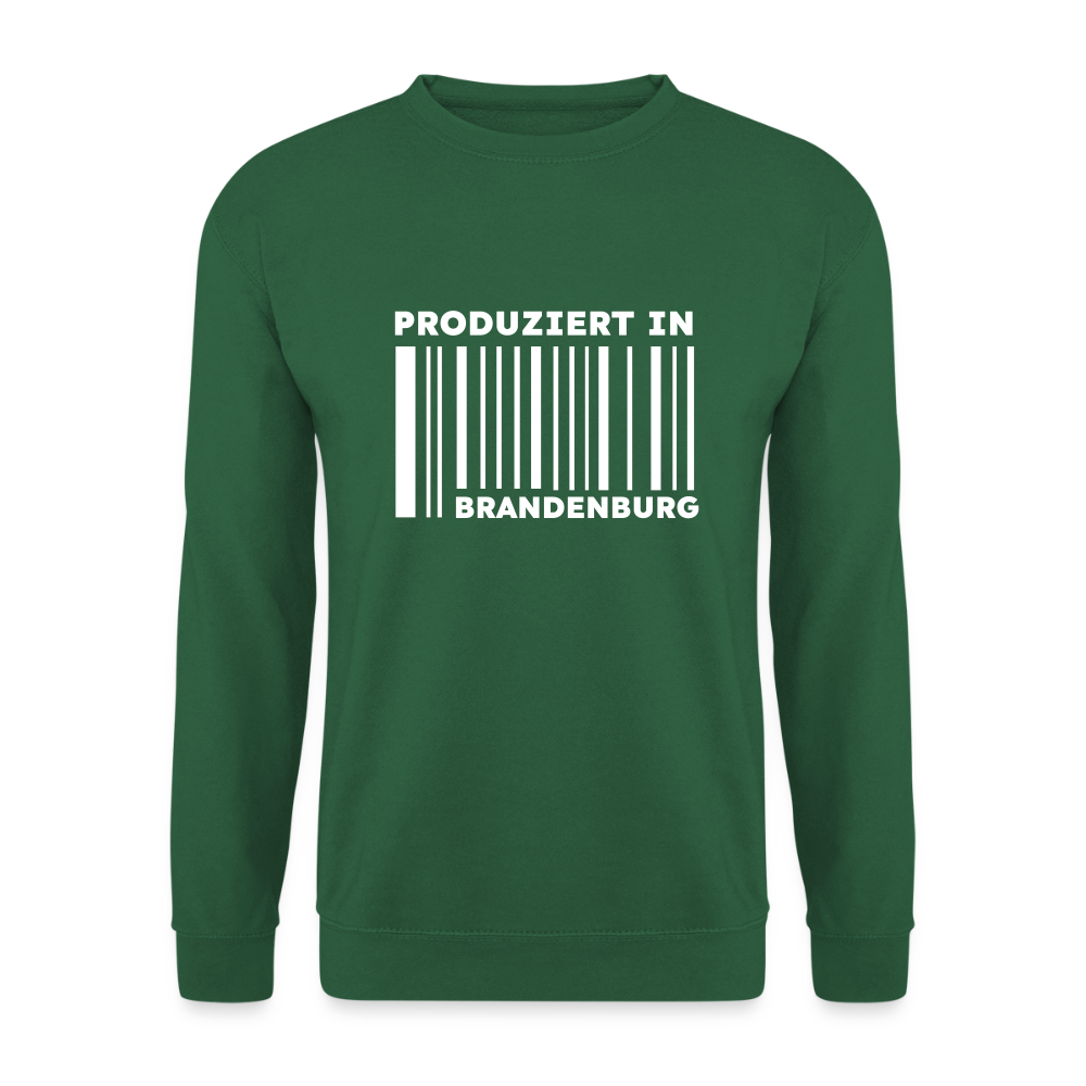 PRODUZIERT IN BRANDENBURG - Unisex Pullover - Grün