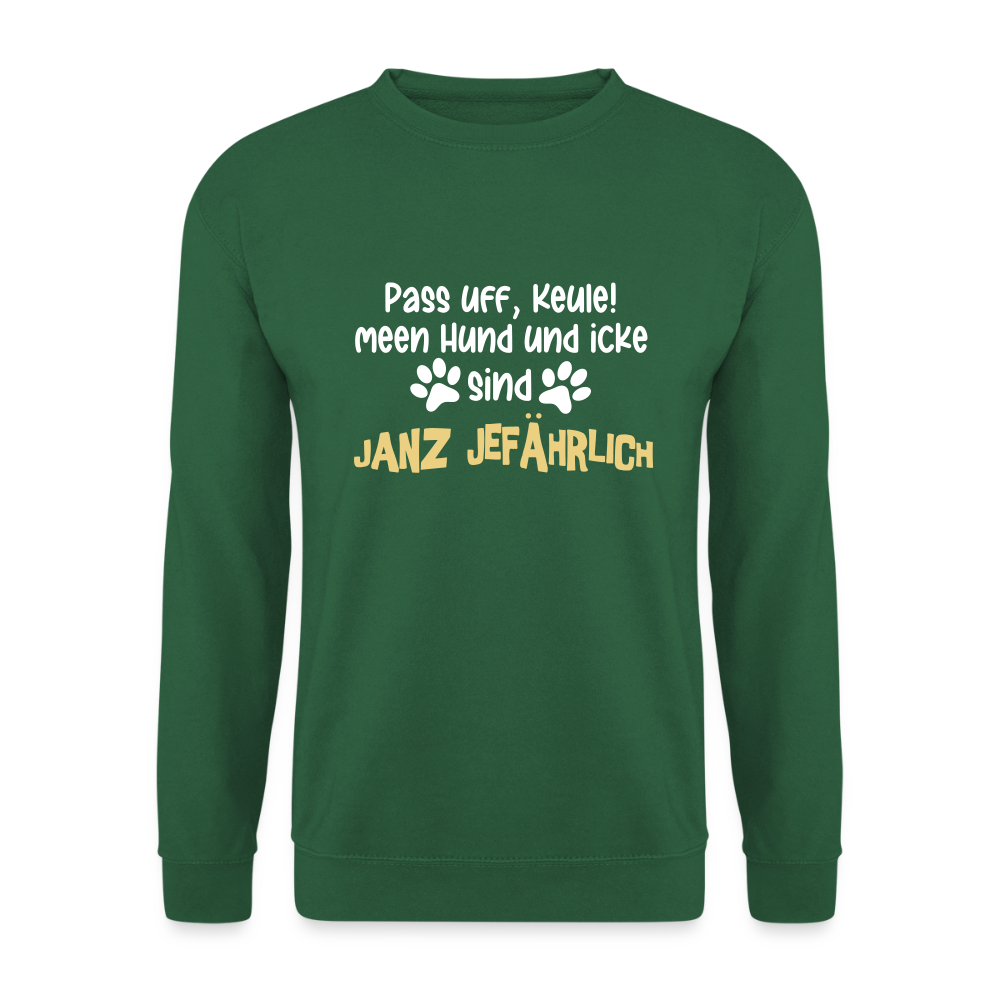 Janz Jefährlich - Unisex Pullover - Grün