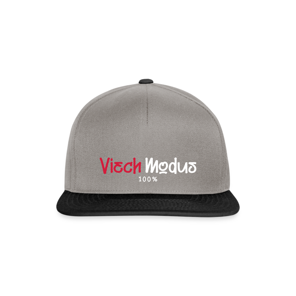Viech Modus 100% - Snapback Cap - Graphit/Schwarz