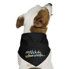 Echt jetzt? Nich du schon wieda... - Hunde-Bandana