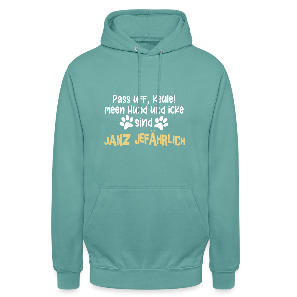 Janz Jefährlich - Unisex Hoodie - Pastelltürkis
