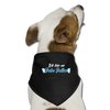 Jabe Jottes - Hunde-Bandana - Schwarz