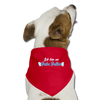 Jabe Jottes - Hunde-Bandana - Rot