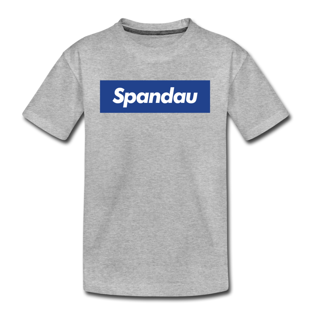 Spandau blau - Kinder Premium T-Shirt - Grau meliert