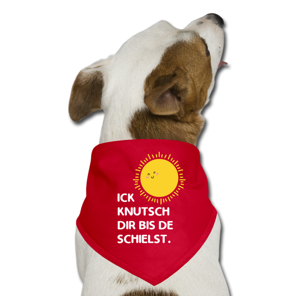 Ick knutsch dir Sonne! - Hunde-Bandana - Rot