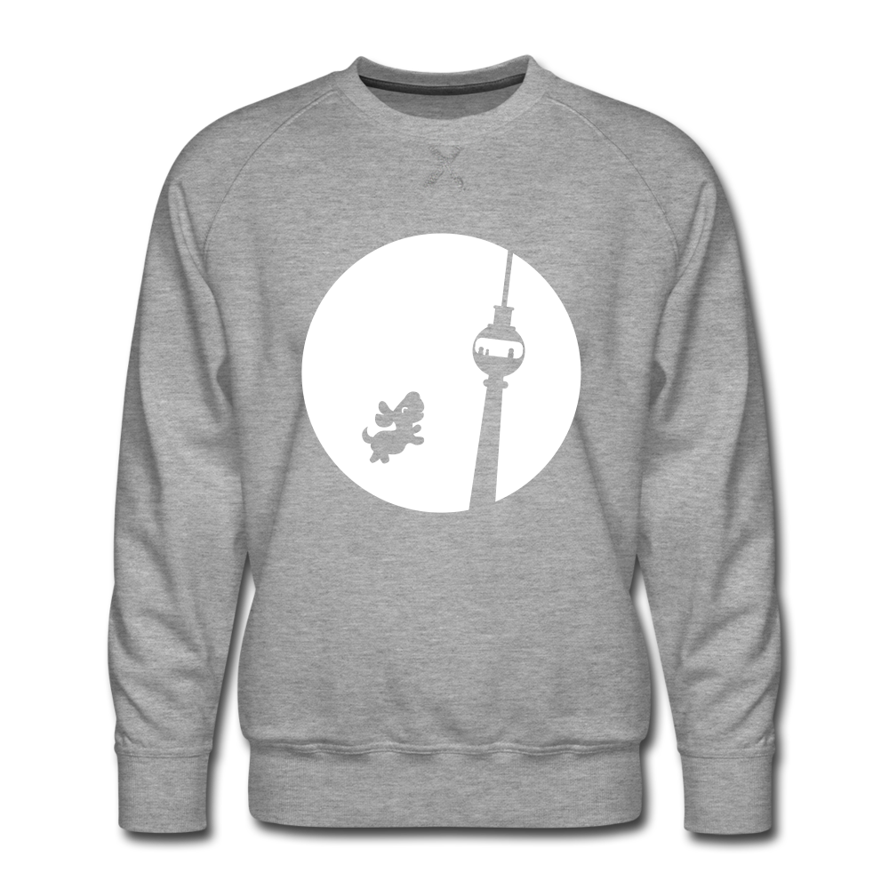 Hund am Fernsehturm - Männer Premium Sweatshirt - heather grey