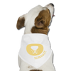 Schnauze - Hunde-Bandana - white