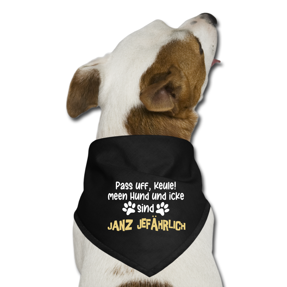 Janz Jefährlich - Hunde-Bandana - black